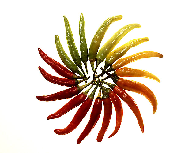 New Mexico State Question Red or Green?